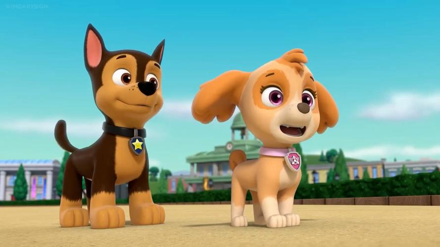 “汪汪队”在新领域立大功