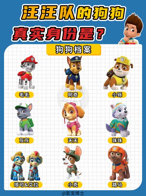 “汪汪队”在新领域立大功