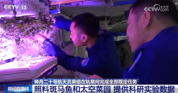 返回舱成功着陆 神二十乘组状态良好