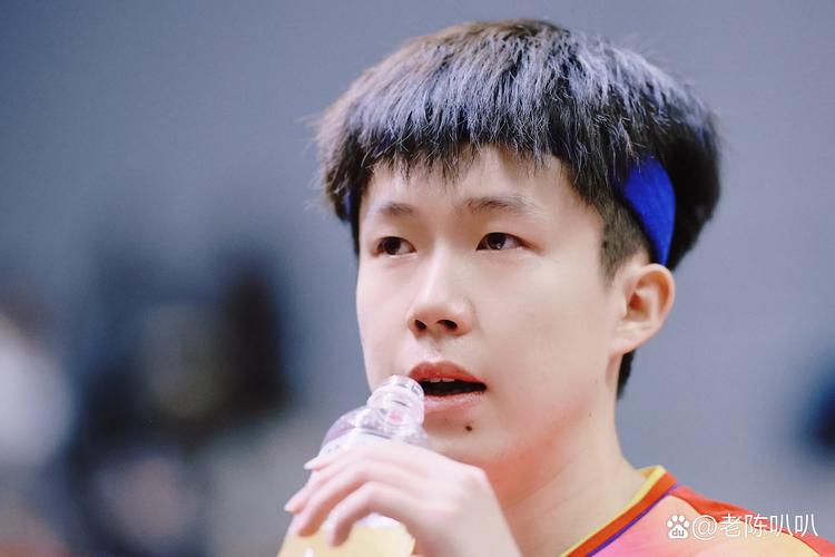 樊振东：王楚钦是国乒绝对的领军人物