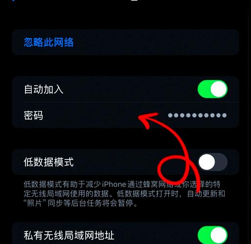 苹果手机如何查手机看wifi密码是多少