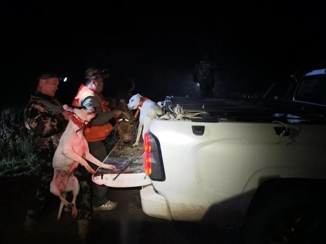 驴友野游被困获救被追偿7.4万救援费