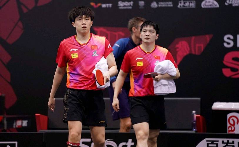 樊振东王楚钦强相持对抗太燃了