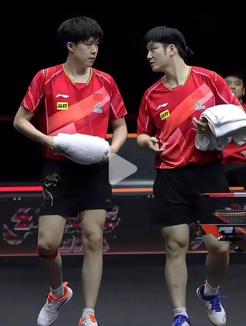 樊振东王楚钦强相持对抗太燃了