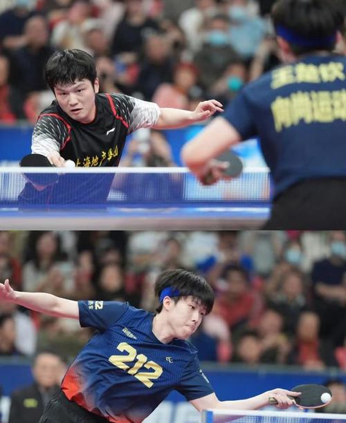 樊振东王楚钦强相持对抗太燃了