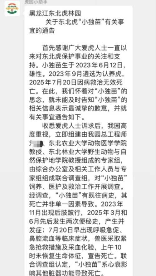 认养2年东北虎心衰死亡 林草局回应
