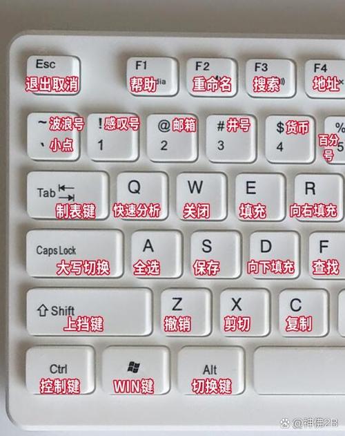 电脑如何开启键盘