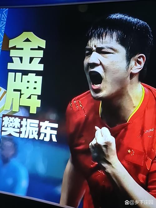 王楚钦打趣式恭喜樊振东夺冠