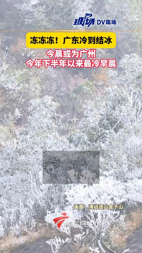 广东冷到“结冰”了