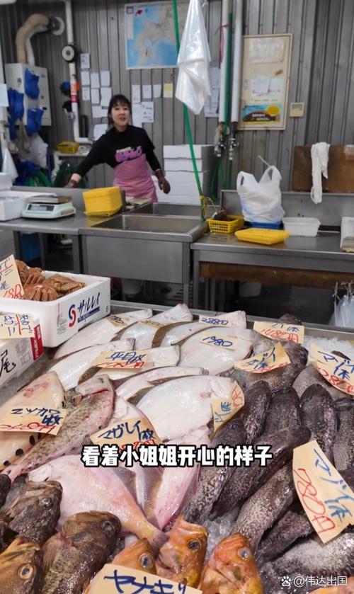 海关在一女子裙内查获229条活鱼