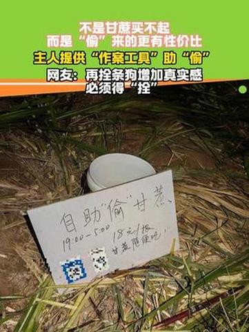 “偷甘蔗”农场新规：被逮到表演才艺