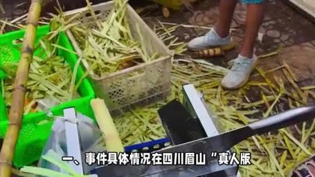 “偷甘蔗”农场新规：被逮到表演才艺