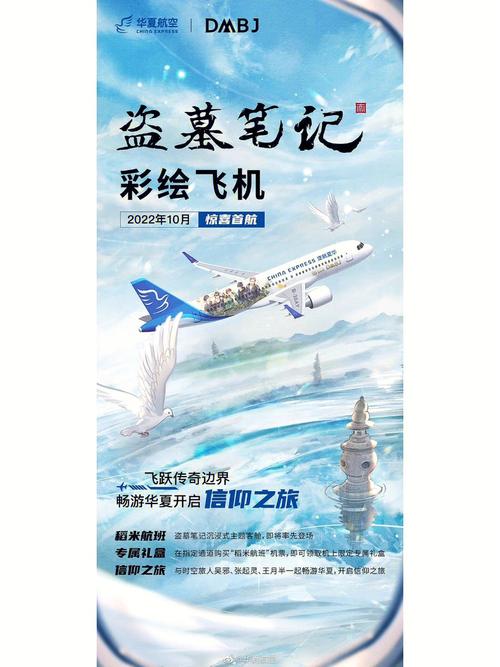 谁在贩卖三无“野生”飞机