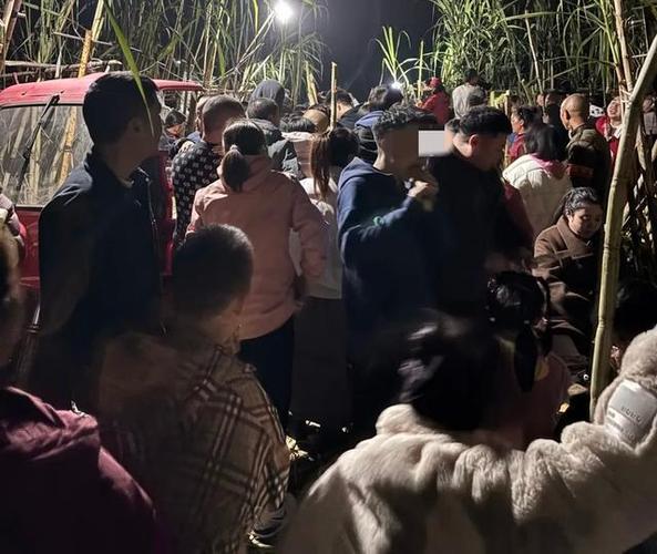 自助偷甘蔗农场爆火后老板真没招了