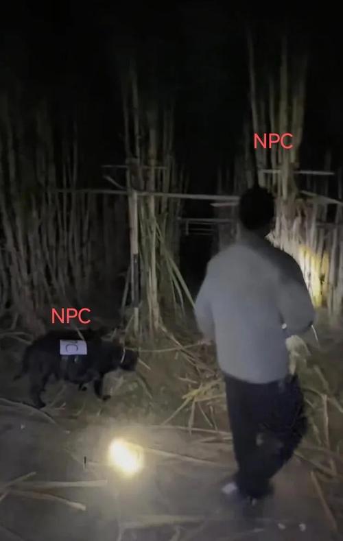 自助偷甘蔗农场爆火后老板真没招了