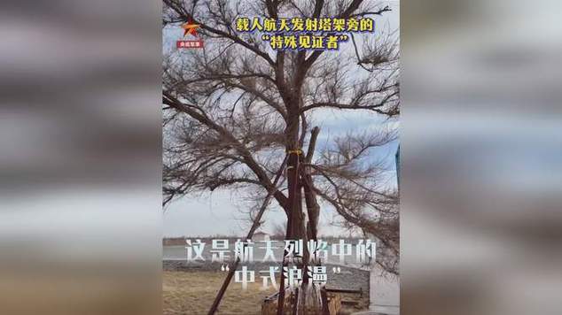 树坚强与树小强1个月内两次见证发射