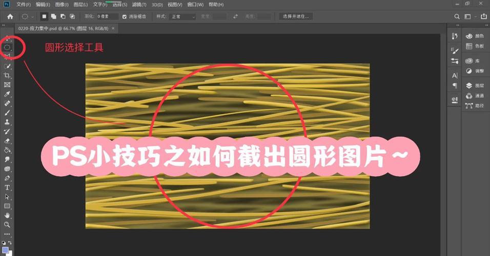 如何电脑剪切图片