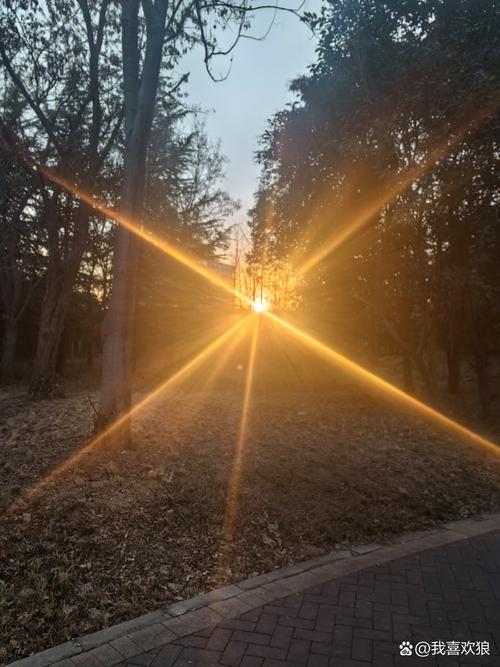 苹果手机如何拍暖光效果