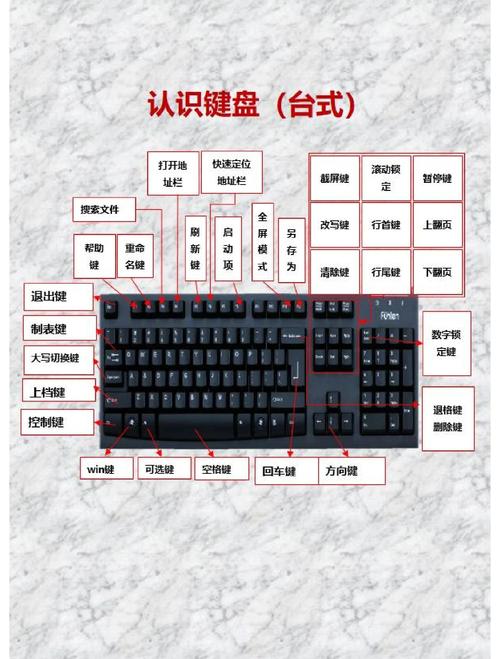 在电脑上如何打出来的