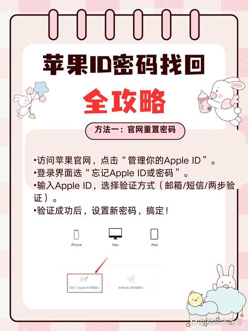 如何查看自己的苹果手机id