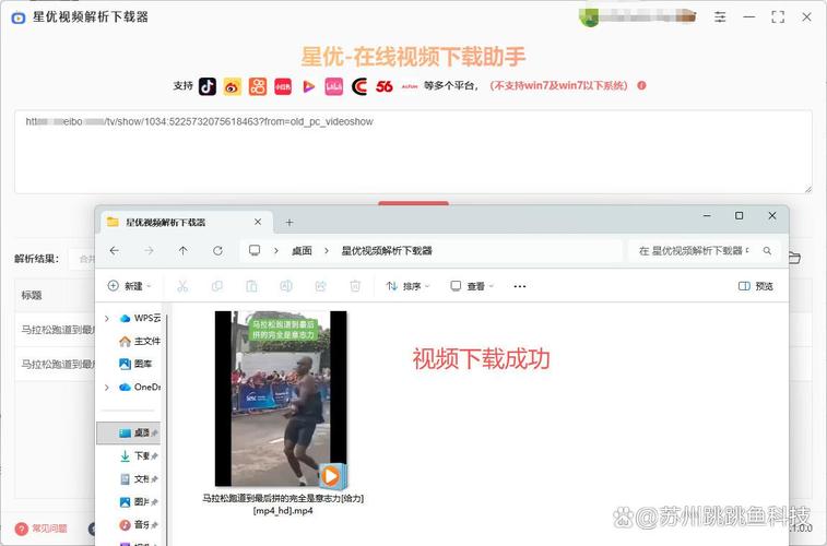在电脑上如何下载视频