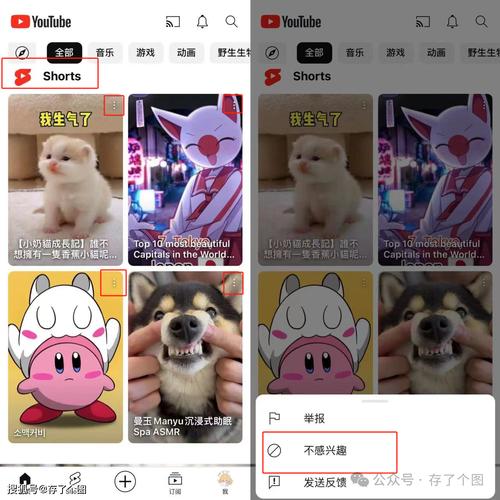 电脑上如何下载youtube