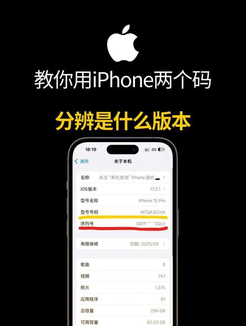 如何查看原苹果手机型号