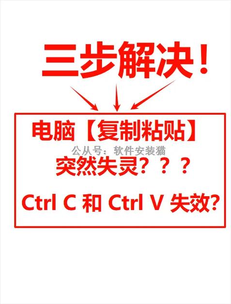 电脑如何快捷复制