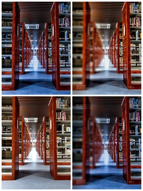 苹果手机如何搭建图书馆