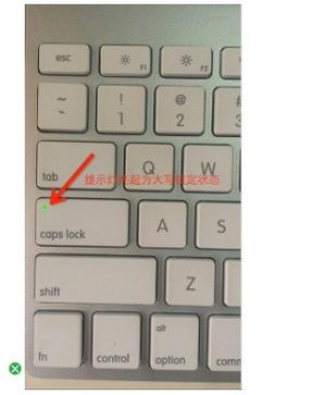 苹果电脑如何切换文字