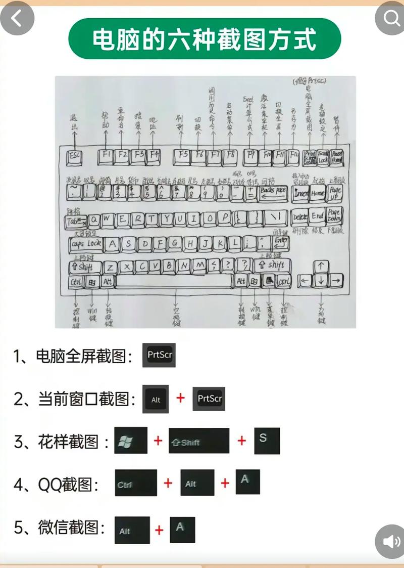 如何熟练掌握电脑打字？高效方法有哪些？