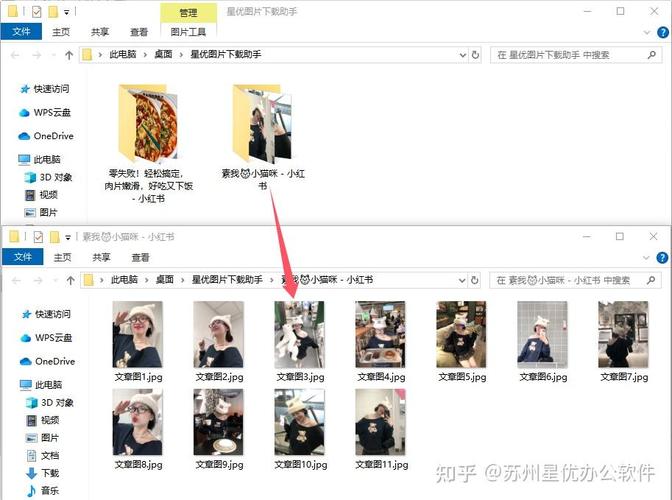 如何在电脑上看小红书？电脑版小红书如何使用？
