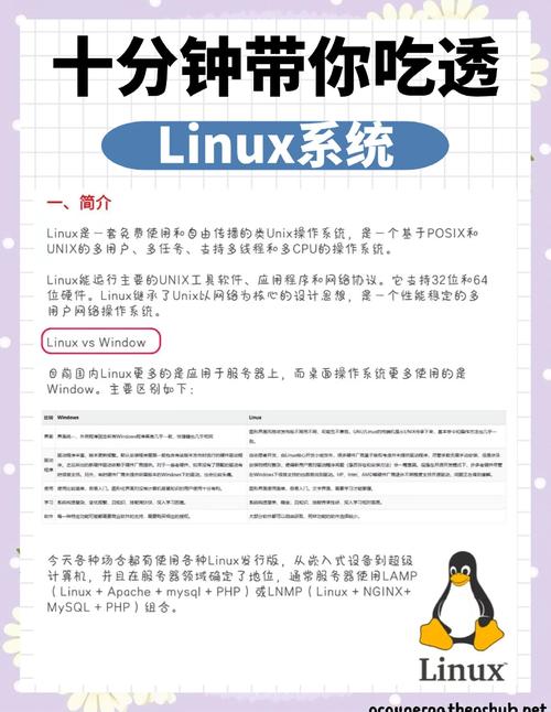 linux系统的电脑如何联网