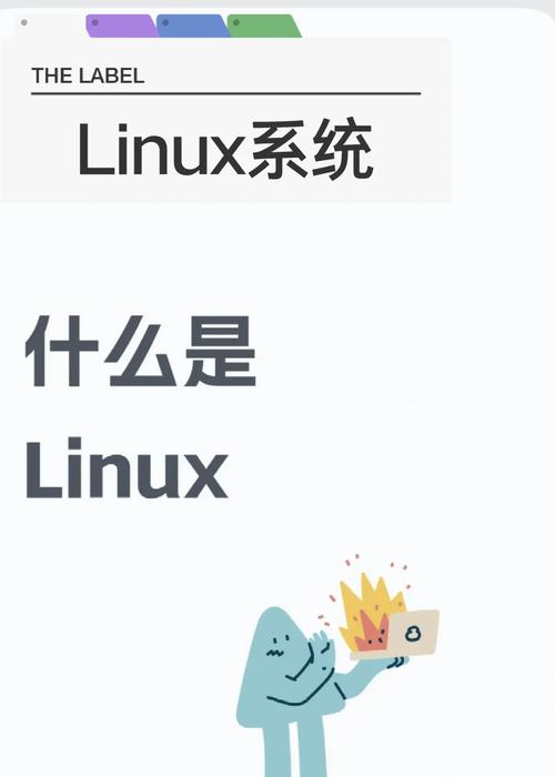 linux系统的电脑如何联网