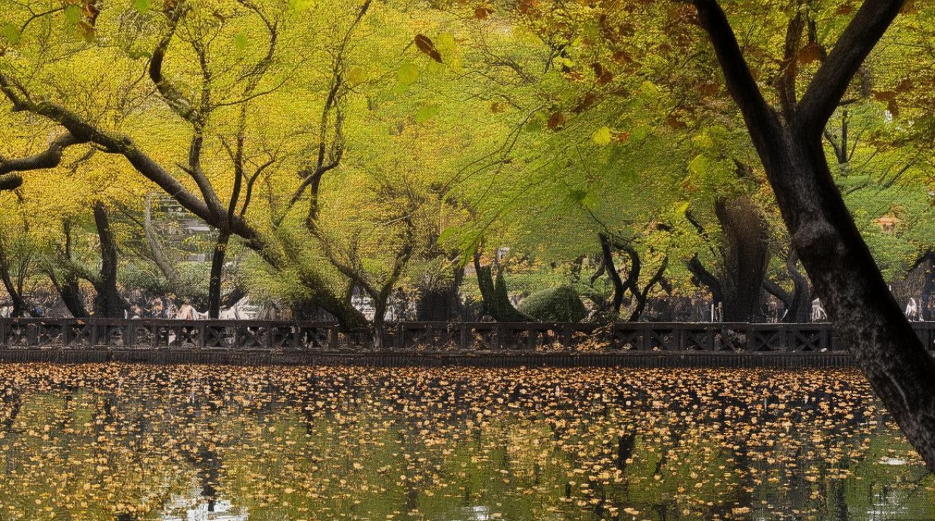 手机游戏哪个游戏画质高